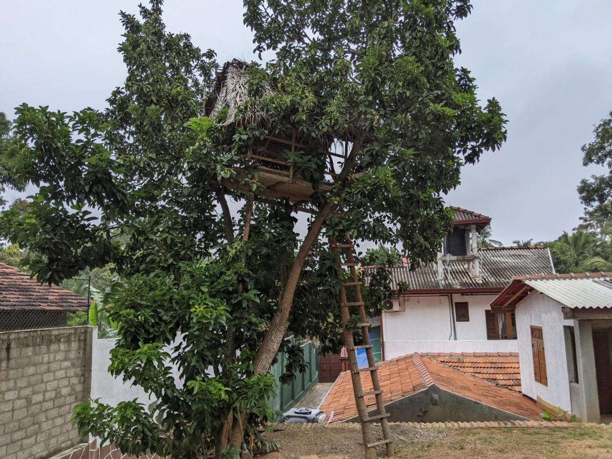 Serendip Villa Holiday Home Talalla Sri Lanka エクステリア 写真