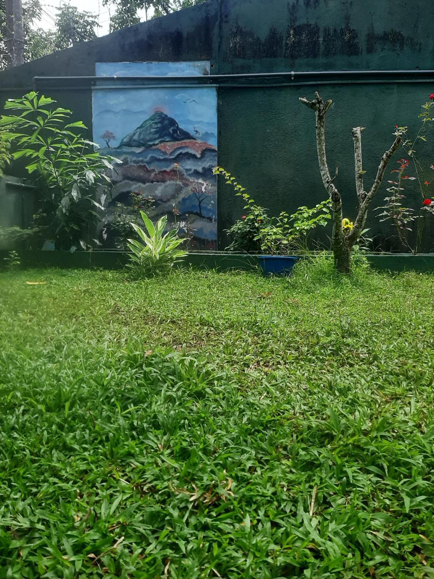 Serendip Villa Holiday Home Talalla Sri Lanka エクステリア 写真